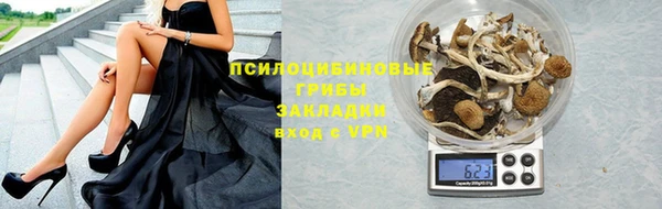 гашик Шарыпово