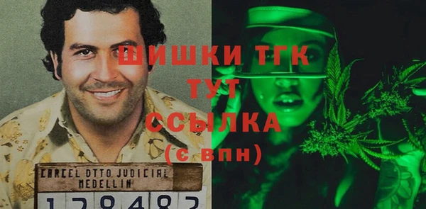 гидропоника Гусев
