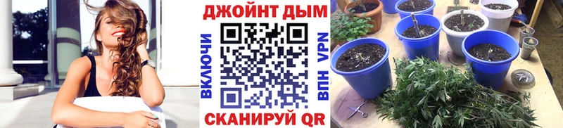 Каннабис семена  купить наркотики сайты  Оха 